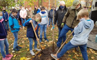 Baumpflanzaktion