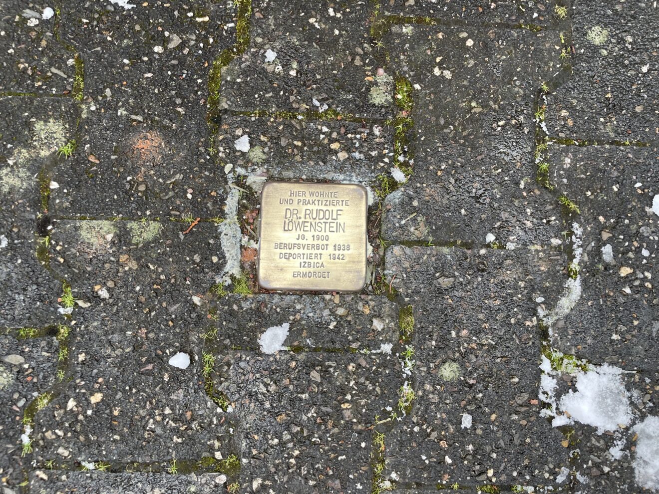 Gemeinsam gegen das Vergessen