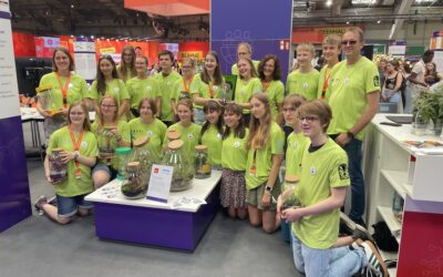 Archi im Ideenfieber
